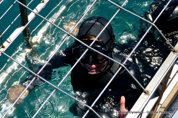 Shark Cage Diving, South Africa