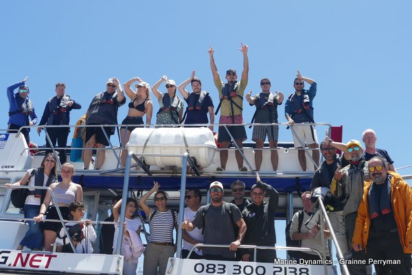 Shark Cage Diving, South Africa