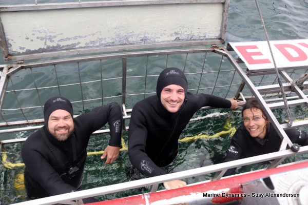 Shark Cage Diving, South Africa