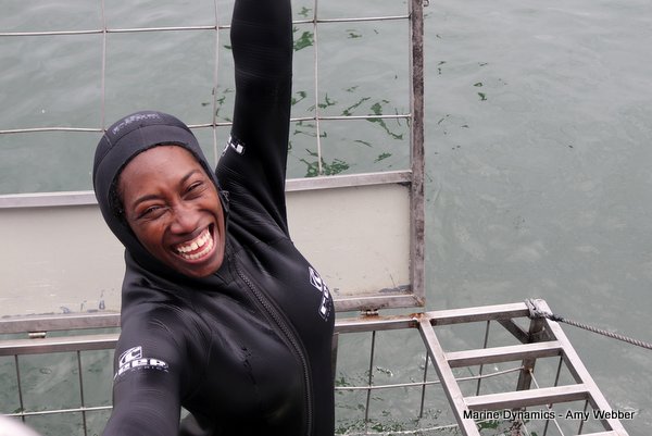 Shark Cage Diving, South Africa