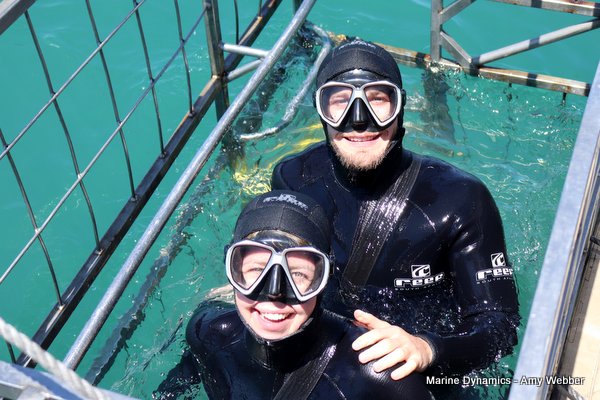 Shark Cage Diving, South Africa