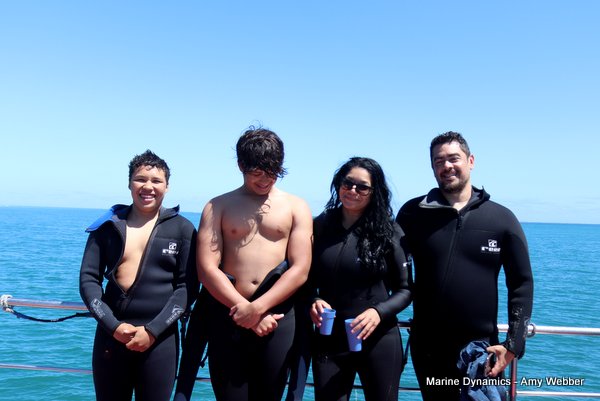 Shark Cage Diving, South Africa