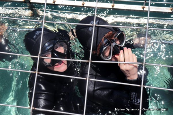 Shark Cage Diving, South Africa