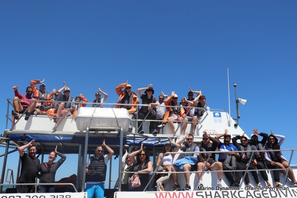 Shark Cage Diving, South Africa