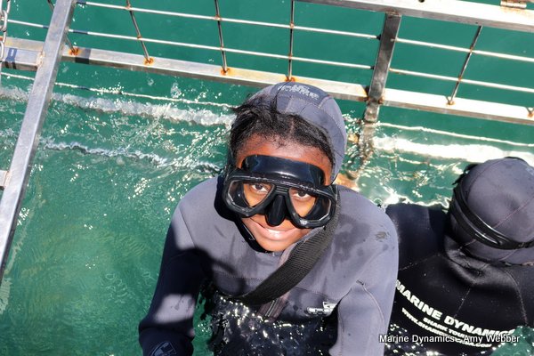 Shark Cage Diving, South Africa