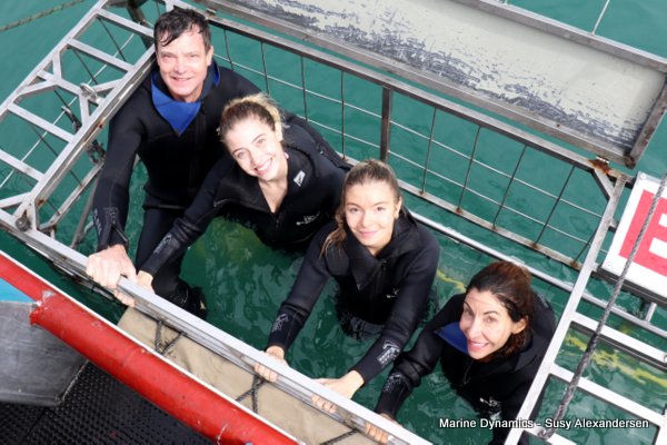 Shark Cage Diving, South Africa