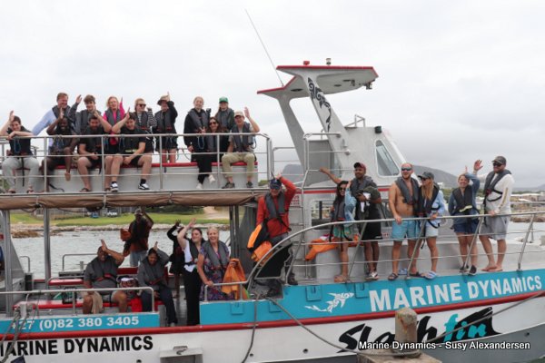 Shark Cage Diving, South Africa