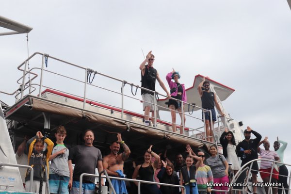 Shark Cage Diving, South Africa