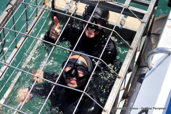 Shark Cage Diving, South Africa