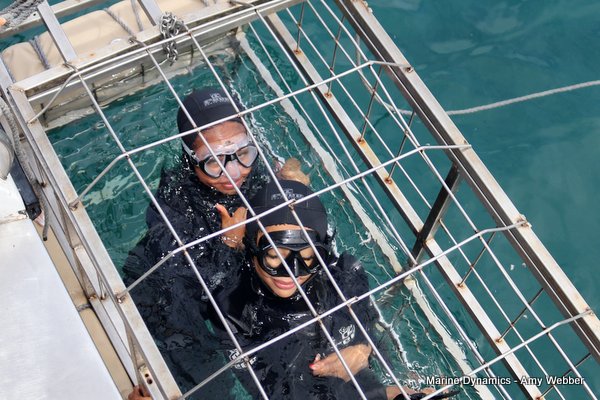 Shark Cage Diving, South Africa