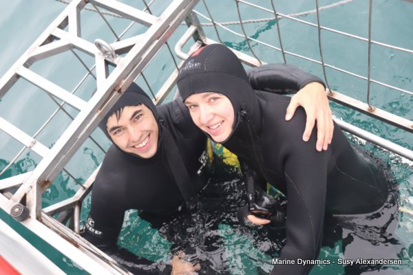 Shark Cage Diving, South Africa