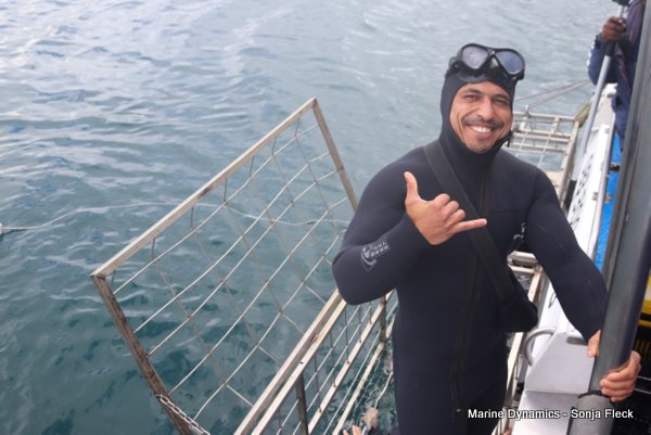 Shark Cage Diving, South Africa