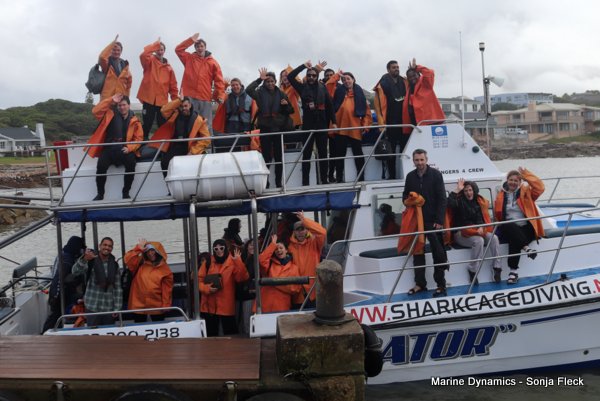 Shark Cage Diving, South Africa