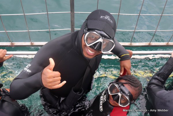 Shark Cage Diving, South Africa