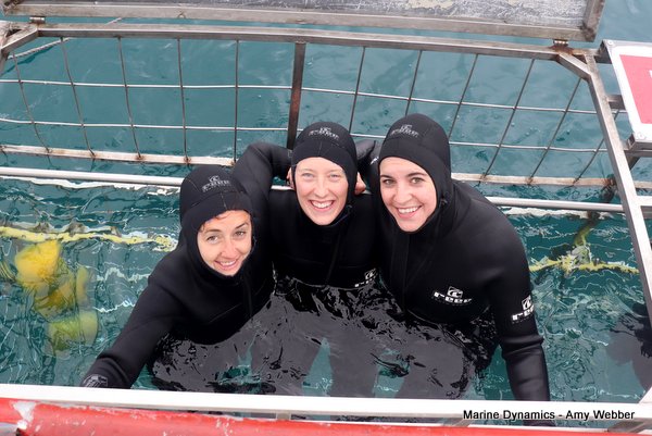 Shark Cage Diving, South Africa