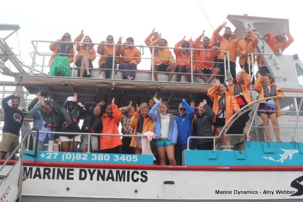 Shark Cage Diving, South Africa
