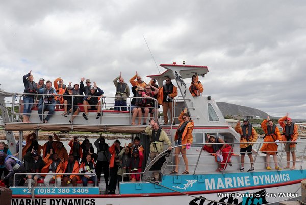 Shark cage diving, South Africa