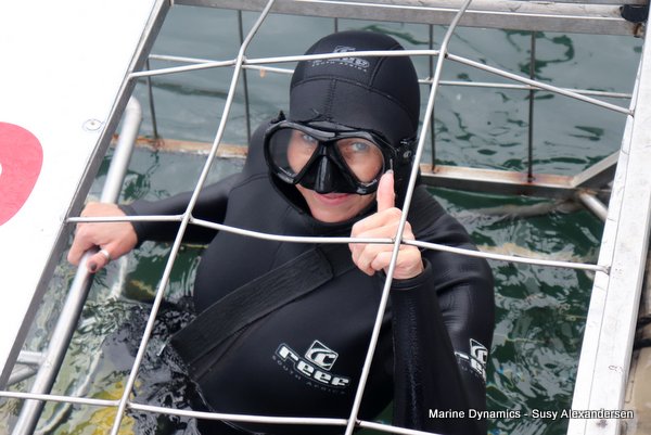 Shark Cage Diving, South Africa