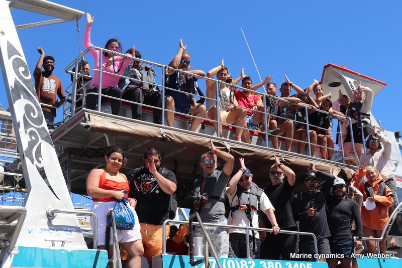 Shark cage diving, South Africa