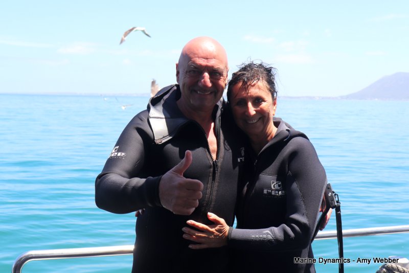 Shark Cage Diving, South Africa
