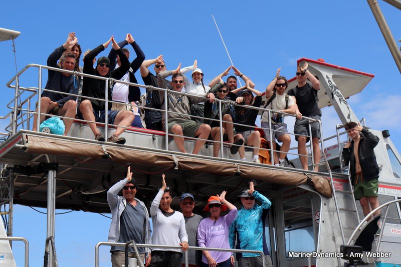 Shark Cage Diving, South Africa