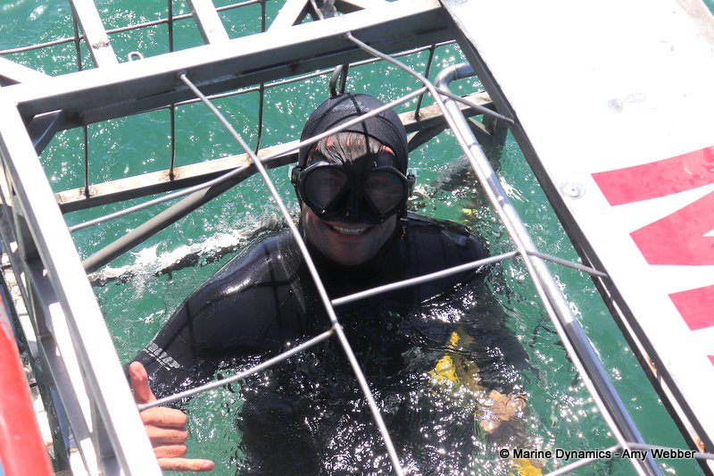 Shark cage diving, South Africa