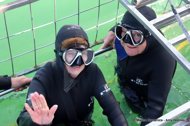 Shark cage diving, South Africa
