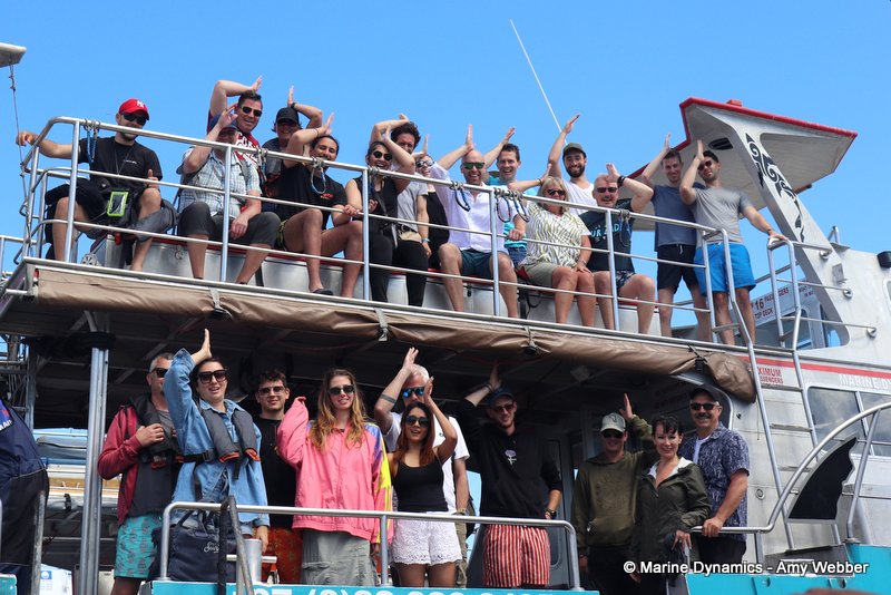 Shark Cage Diving, South Africa