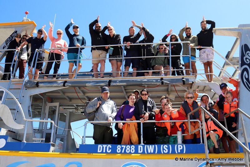 Shark Cage Diving, South Africa