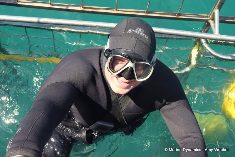 Shark Cage Diving, South Africa