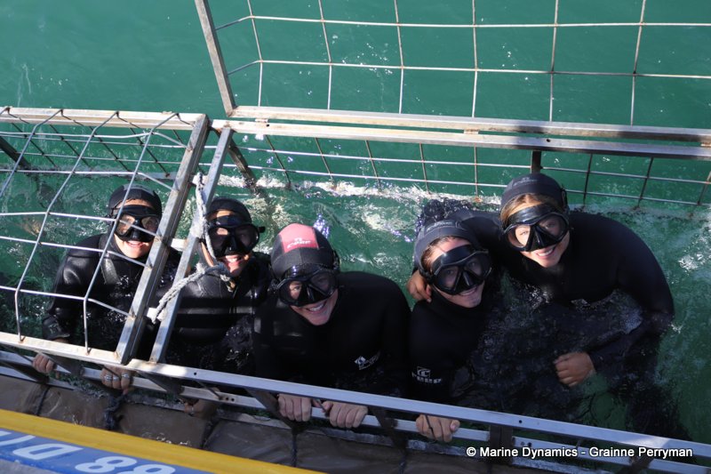 Shark Cage Diving, South Africa