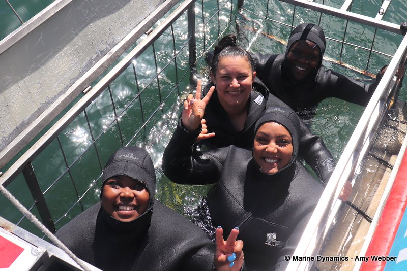 Shark Cage Diving, South Africa