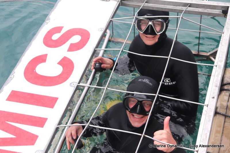 Shark cage diving, South Africa