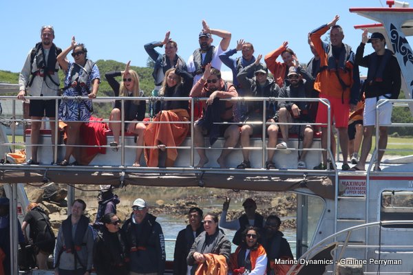 Shark cage diving, Gansbaai, Western Cape