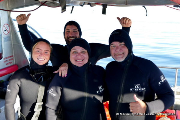 Shark cage diving, South Africa