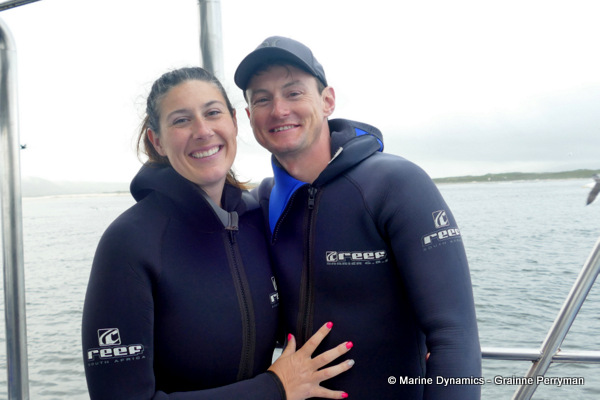 Shark cage diving, South Africa
