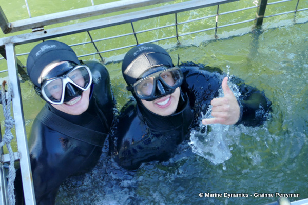 Shark cage diving, South Africa