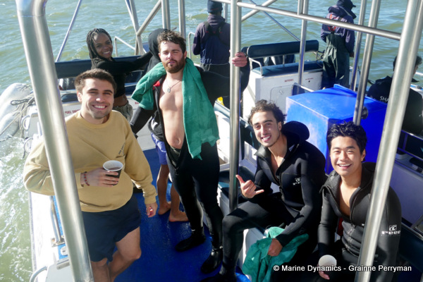 Shark cage diving, South Africa