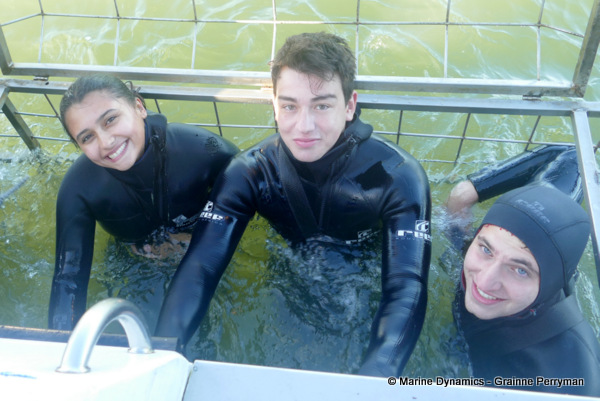 Shark cage diving, South Africa