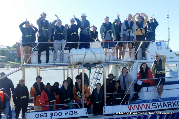 Shark cage diving, South Africa