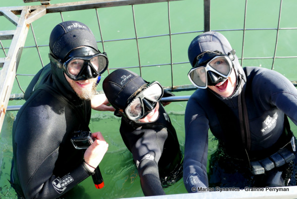 Shark cage diving, South Africa
