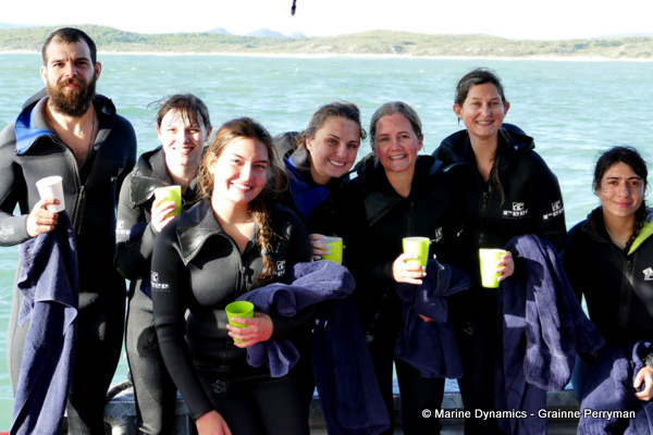 Shark cage diving, South Africa