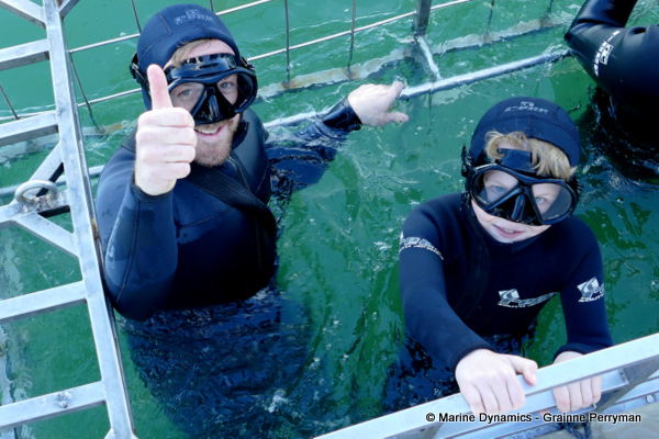 Shark cage diving, South Africa