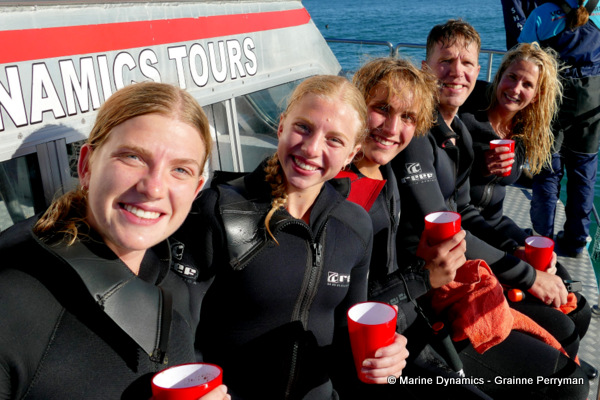 Shark cage diving, South Africa