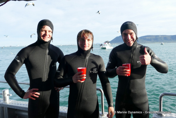 Shark cage diving, South Africa