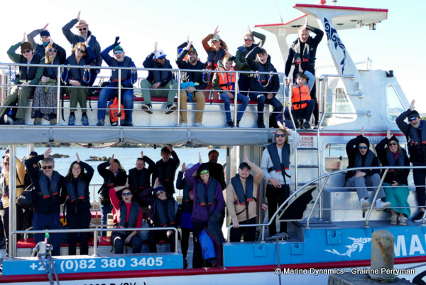 Shark cage diving, South Africa