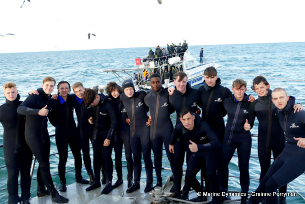 Shark cage diving, South Africa