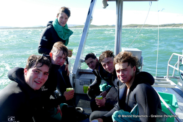 Shark cage diving, South Africa