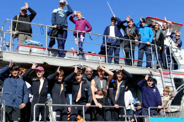 Shark cage diving, South Africa