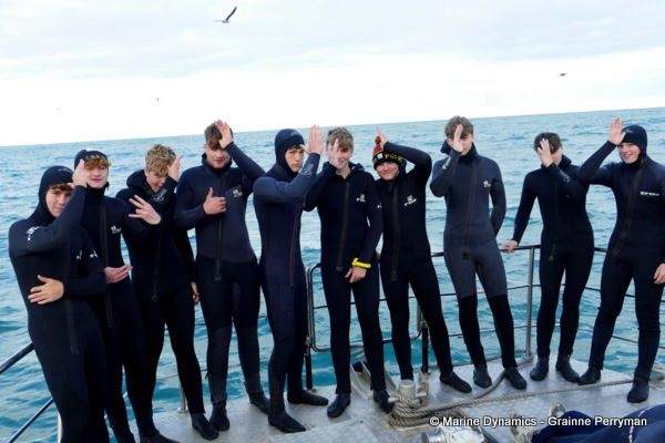 Shark cage diving, South Africa